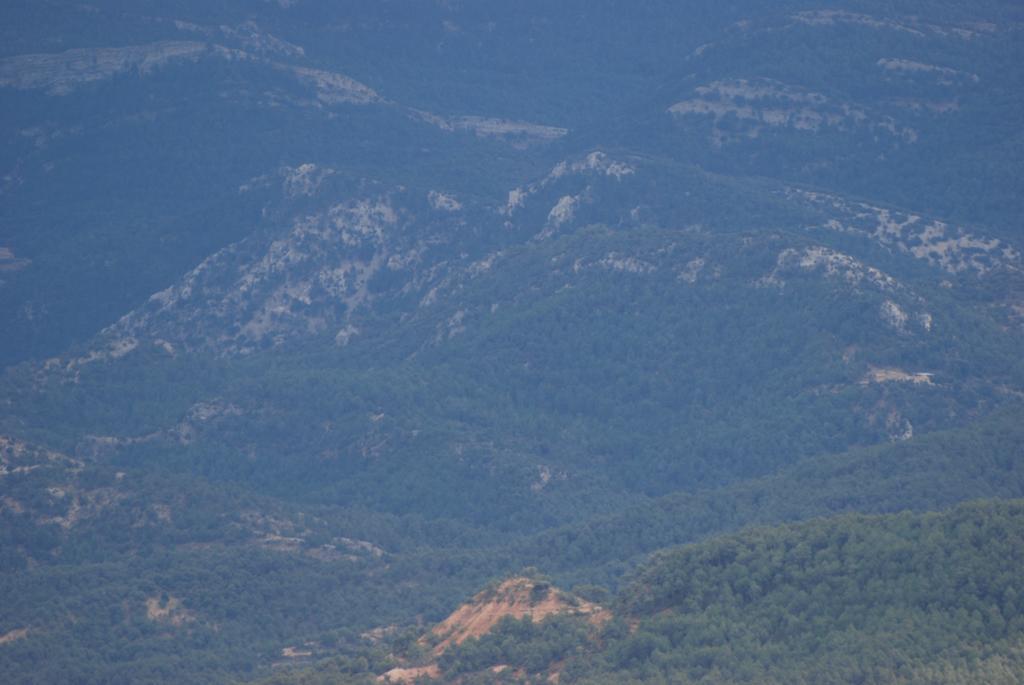 Peñarroya de Tastavins Masia De La Serra De La Cogulla المظهر الخارجي الصورة