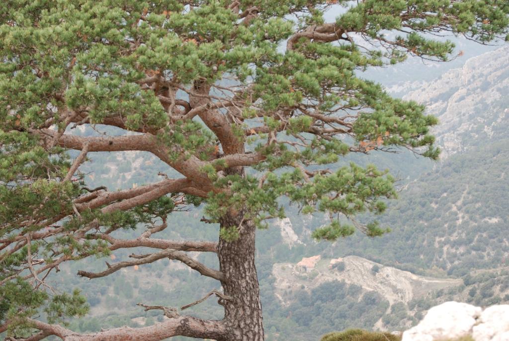 Peñarroya de Tastavins Masia De La Serra De La Cogulla المظهر الخارجي الصورة